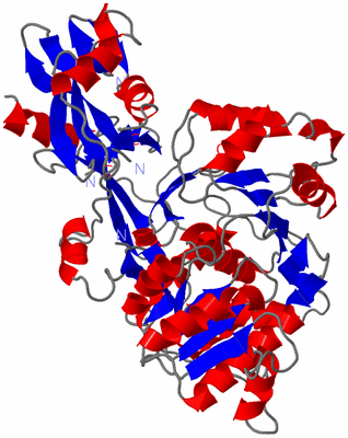 Image Asym./Biol. Unit