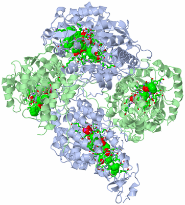 Image Biol. Unit 1 - sites