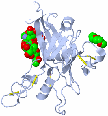 Image Biological Unit 1