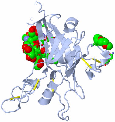 Image Biol. Unit 1 - sites