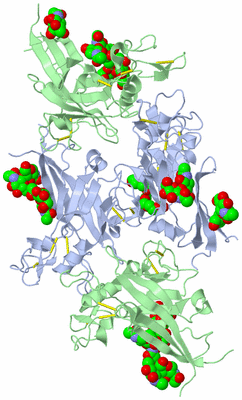 Image Biological Unit 3