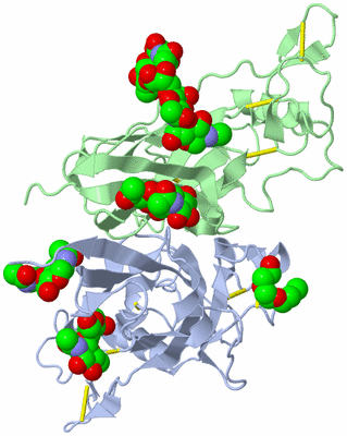 Image Biological Unit 4