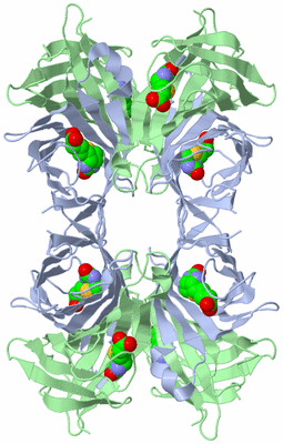 Image Biological Unit 2