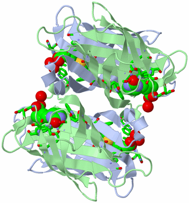 Image Biol. Unit 1 - sites