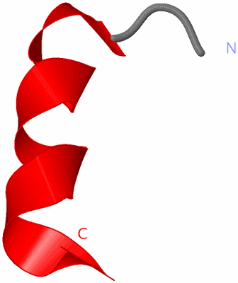 Image NMR Structure - model 1