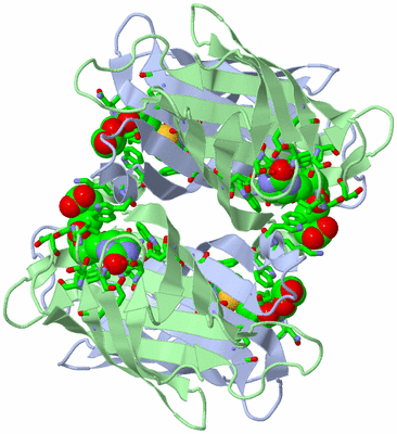 Image Biol. Unit 1 - sites