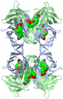 Image Biological Unit 2