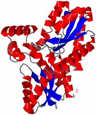 Image Asym./Biol. Unit