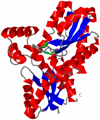 Image Asym./Biol. Unit - sites