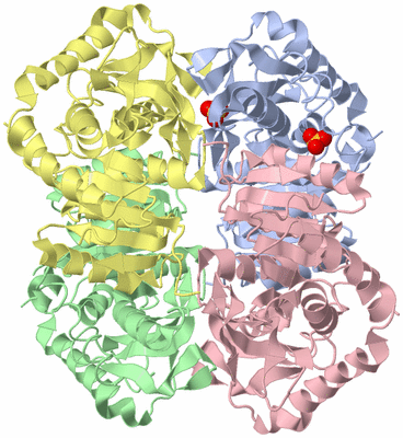 Image Asym./Biol. Unit