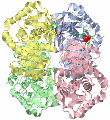 Image Asym./Biol. Unit - sites