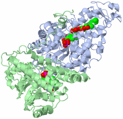 Image Asymmetric Unit