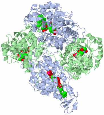 Image Biological Unit 1