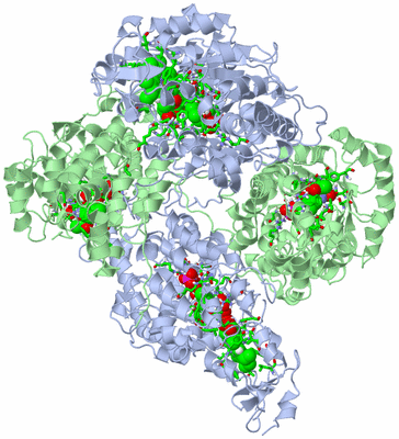 Image Biol. Unit 1 - sites