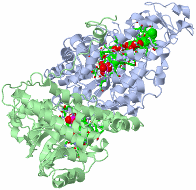 Image Asym. Unit - sites