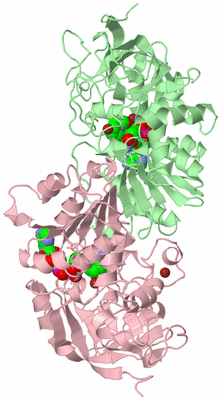 Image Biological Unit 1