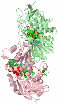 Image Biol. Unit 1 - sites