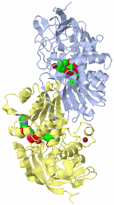 Image Biological Unit 2