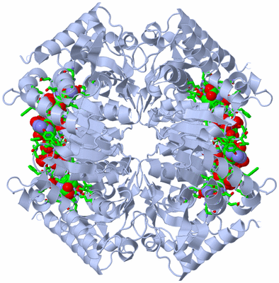 Image Biol. Unit 1 - sites