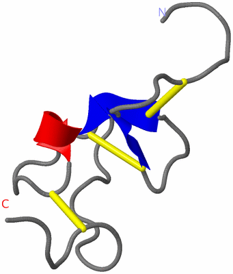 Image NMR Structure - model 1