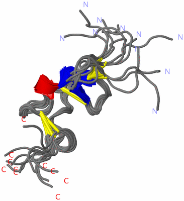 Image NMR Structure - all models