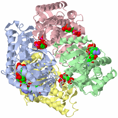 Image Biological Unit 1