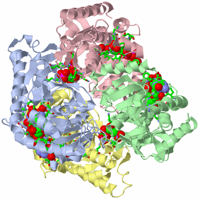 Image Biol. Unit 1 - sites