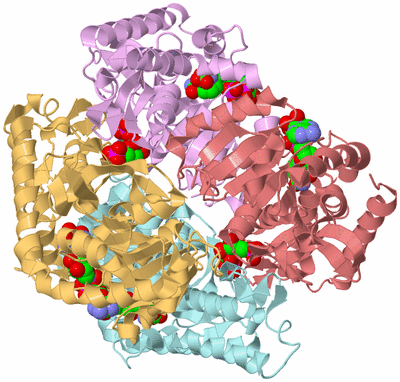 Image Biological Unit 2