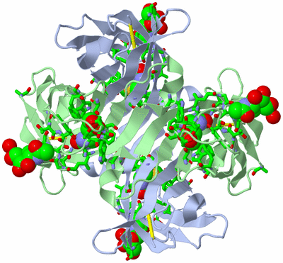 Image Biol. Unit 1 - sites