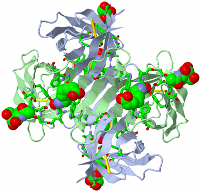 Image Biol. Unit 1 - sites