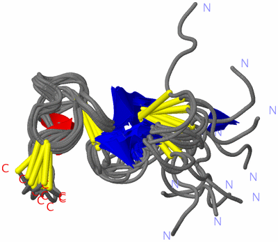 Image NMR Structure - all models