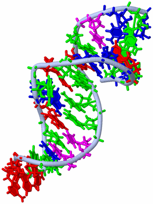 Image NMR Structure - model 1