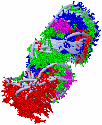 Image NMR Structure - all models