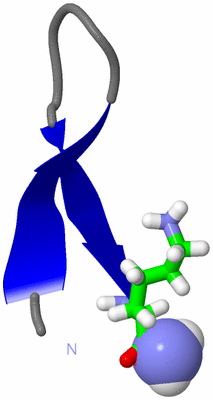 Image NMR Structure - model 1, sites