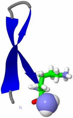 Image NMR Structure - model 1, sites