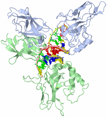 Image Biological Unit 1