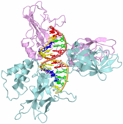 Image Biological Unit 2