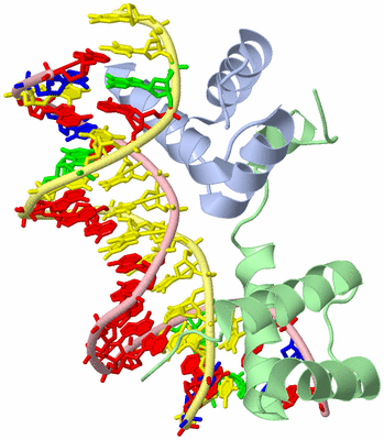 Image Asym./Biol. Unit