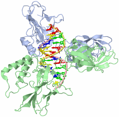 Image Biological Unit 1