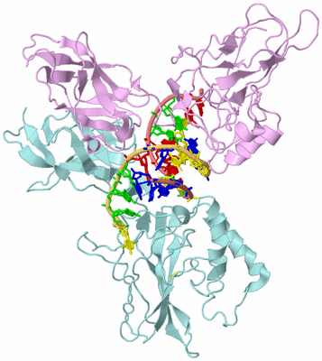 Image Biological Unit 2