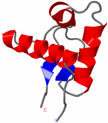 Image NMR Structure - model 1