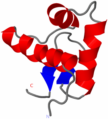 Image NMR Structure - model 1