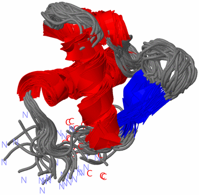 Image NMR Structure - all models