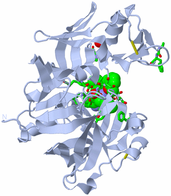 Image Biol. Unit 1 - sites