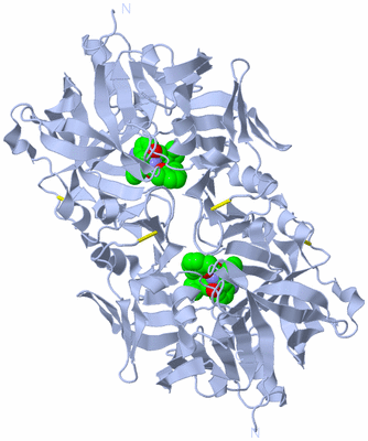 Image Biological Unit 2