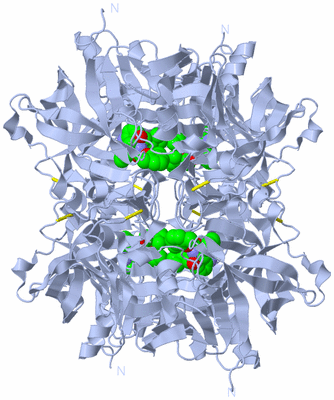 Image Biological Unit 3