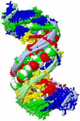 Image NMR Structure - all models