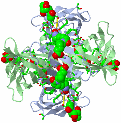 Image Biol. Unit 1 - sites