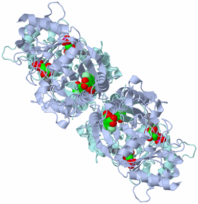 Image Biological Unit 1