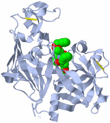 Image Biological Unit 1